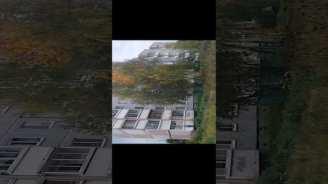 VID смотреть онлайн