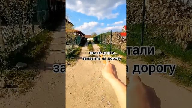 Хотели сделать добро людям. Но взамен добра не получили. смотреть онлайн