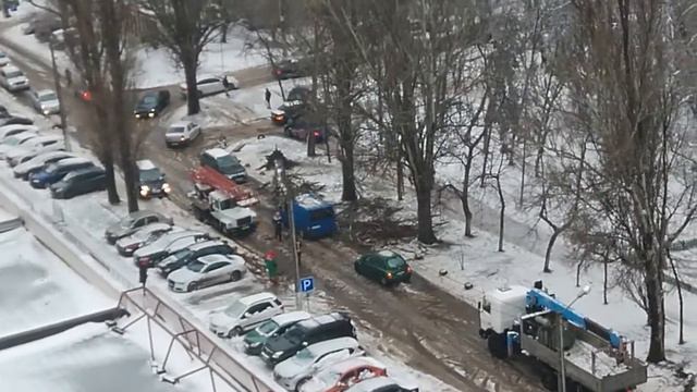 Одесса.На ул. Говорова упало дерево на машину. 2021 смотреть онлайн