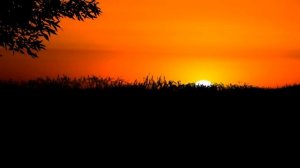 Этот человек поведал мне ТАЙНУ | Страшные Загадочные истории | Необузданная Жизнь