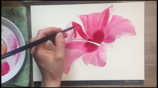 How to Paint a Hibiscus in Watercolor| Как нарисовать гибискус акварелью смотреть онлайн