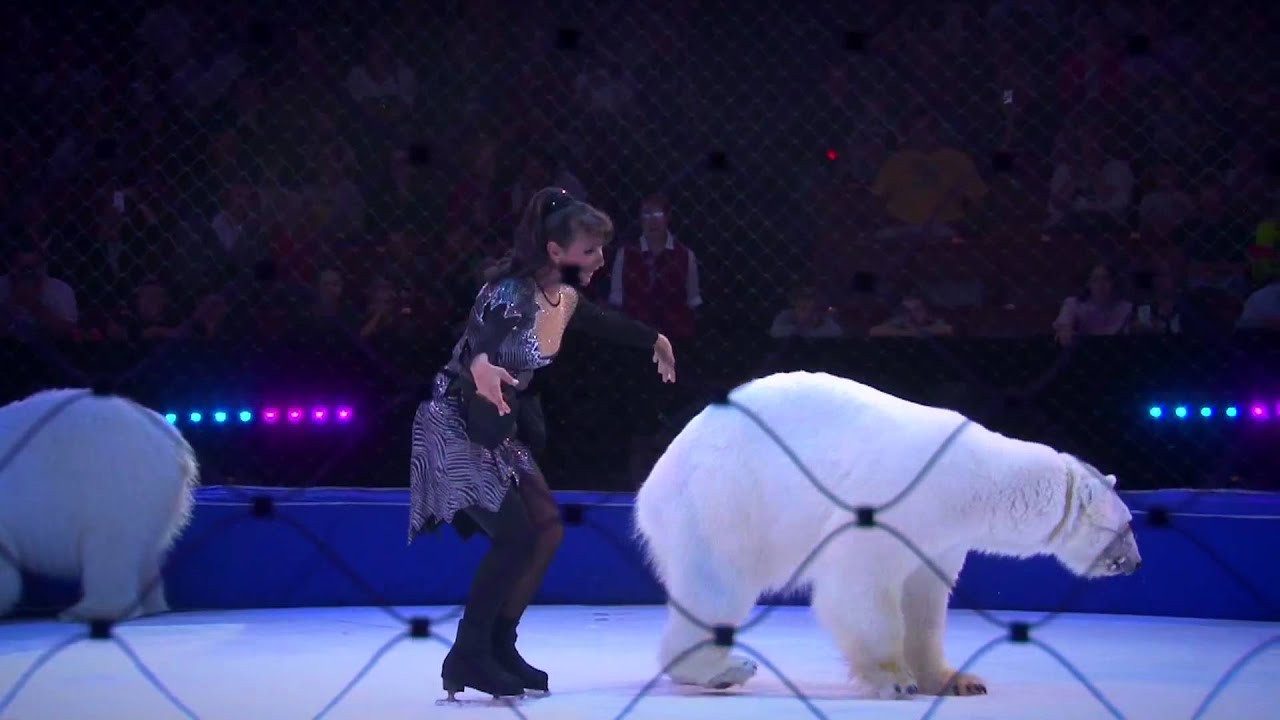 ИДОЛ 2014 № 26 смотреть онлайн