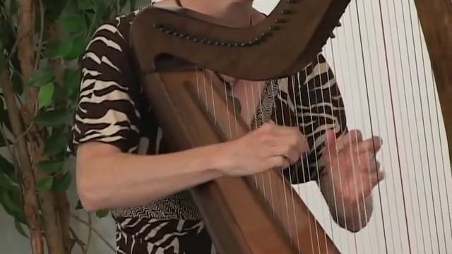 Carolan's Welcome/Princess Royal смотреть онлайн