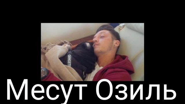 УГАДАЙ ФУТБОЛИСТА ПО ЕГО СОБАКЕ! [ФУТБОЛЬНЫЙ ЧЕЛЛЕНДЖ]. смотреть онлайн