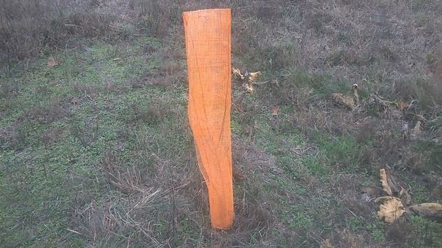 КАК ЗАЩИТИТЬ ДЕРЕВЬЯ ОТ ЗАЙЦЕВ - самый недорогой и эффективный метод смотреть онлайн