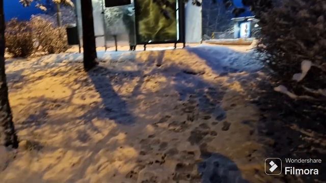 ВАЖНАЯ ИНФОРМАЦИЯ ДЛЯ БЕЖЕНЦЕВ, КОТОРЫЕ ПРИЛЕТАЮТ В СТАВАНГЕР, КУДА ИХ ПОТОМ ВЕЗУТ. НОРВЕГИЯ🇧🇻 смотреть онлайн