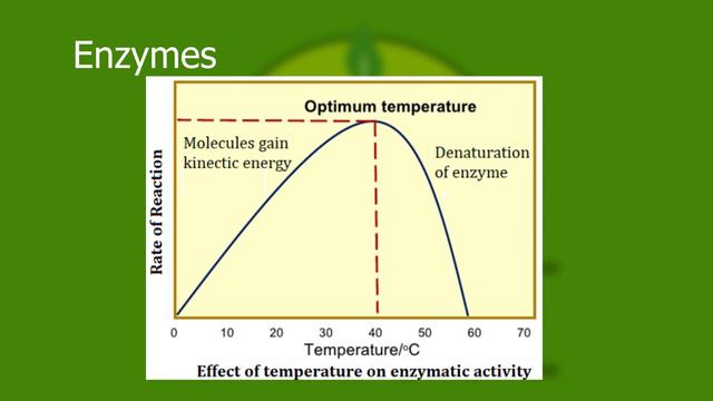 Biology grade 10-11 Enzymes as biological catalysts смотреть онлайн