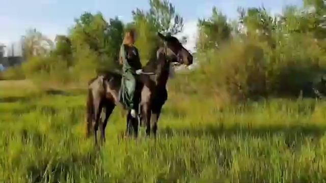 15 мая 2021 г. смотреть онлайн