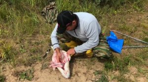 Рыбалка в Конаково. Судак 10 кг