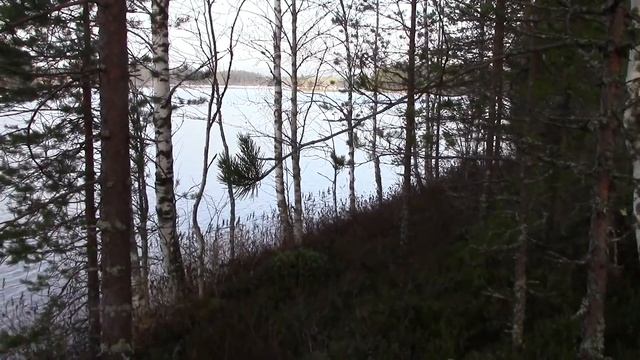 Забор из булыжника  Две щучки на уху