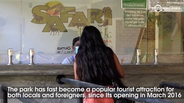 Ridiyagama Safari Park | 100 Journeys Sri Lanka смотреть онлайн