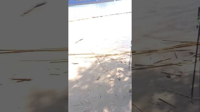 Рыбалка на Дону смотреть онлайн