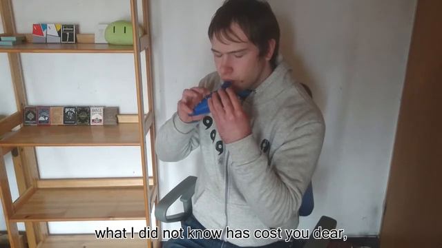 Full Metal Alchemist: Brothers - Ocarina Cover смотреть онлайн