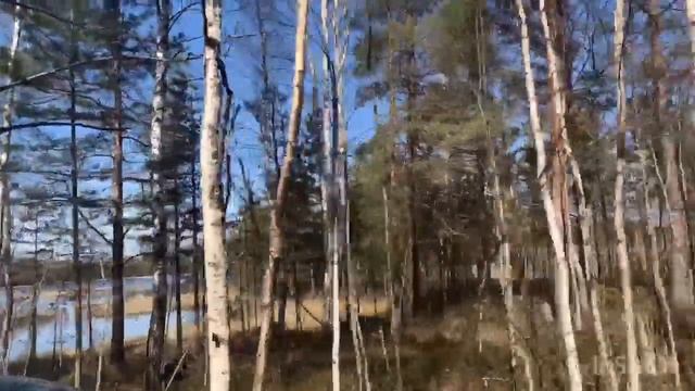 Майская поездка на болота в деревню великий мох. Покатушки 2020