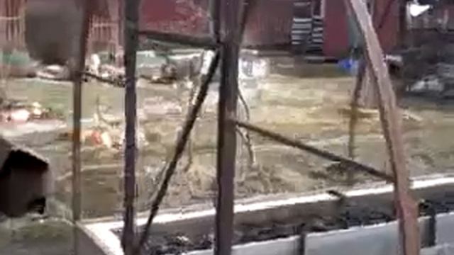 самодельная теплица из поликарбоната смотреть онлайн