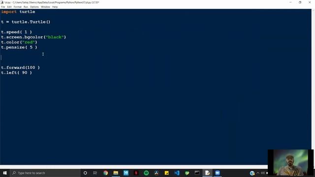 Python Turtle Graphics Overview [2020] смотреть онлайн