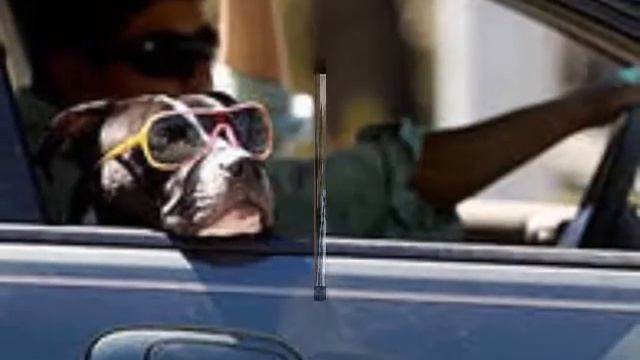 Поседели волосы смотреть онлайн