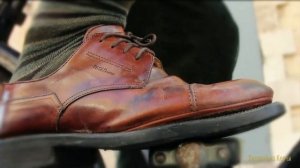 Татьяна Белоус ?  Пропала собака по кличке Дружок ?