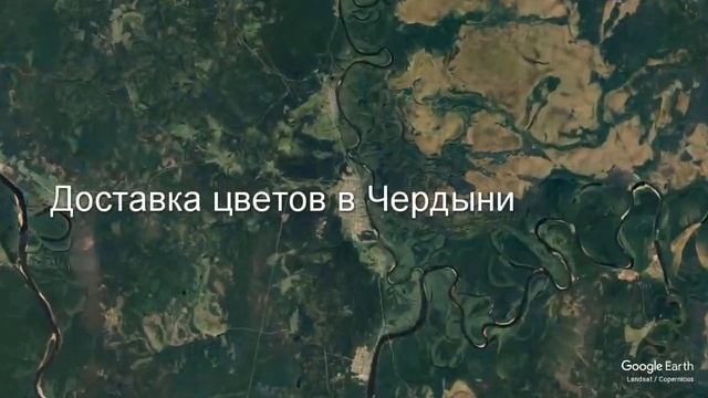Доставка цветов в Чердыни - Заказ букетов от компании Скорая подарочная помощь смотреть онлайн
