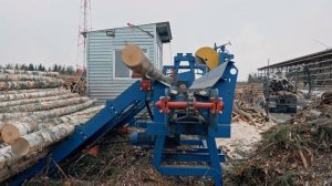 Линия сортировки бревен с узлом раскряжевки на лесопильном производстве