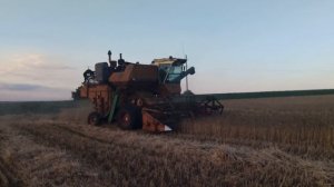 ?Настройка комбайна Нива СК 5 на пшеницу ? Обкашиваем края ?