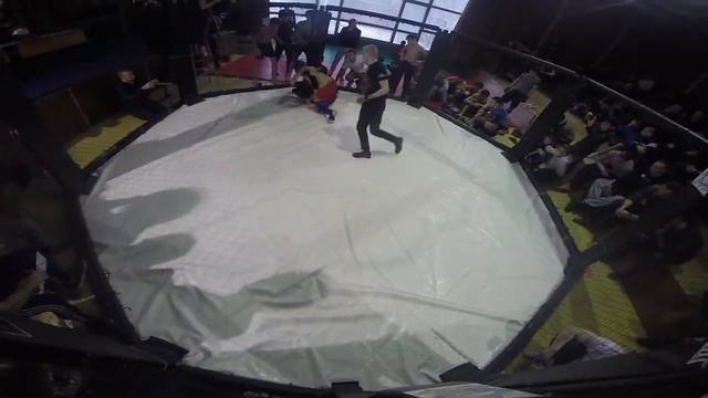 Турнир по ММА Белый воин