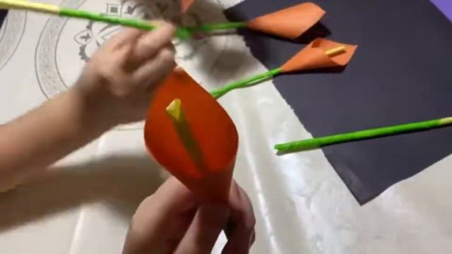 8 наурыз мерекесіне сыйлық смотреть онлайн
