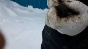 Ремонт сепаратора паров бензина Лада Калина