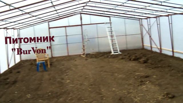 Теплица для саженцев.