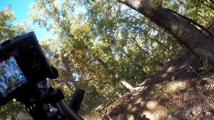 Охота на белку с мелкашкой