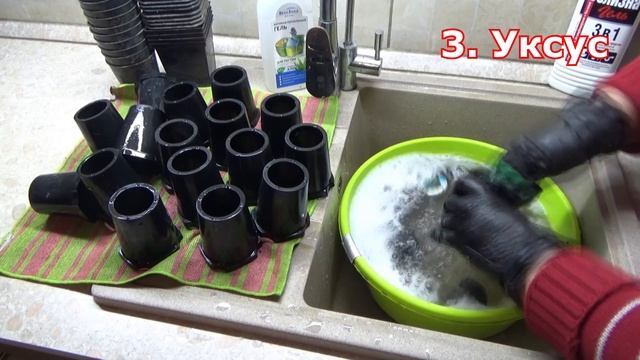 Чем обрабатывать емкости для рассады, чтобы растения не болели. Несколько способов дезинфекции тары смотреть онлайн