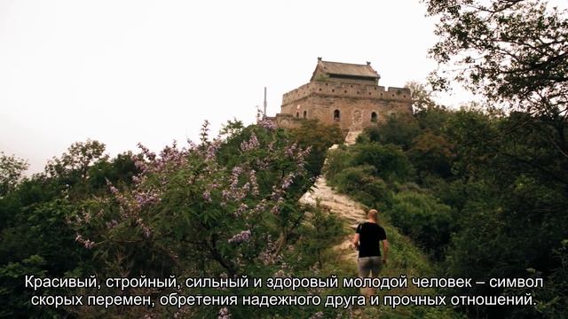 К чему снится молодой парень? Толкование сна и его значение по сонникам Ванги и Фрейда смотреть онлайн