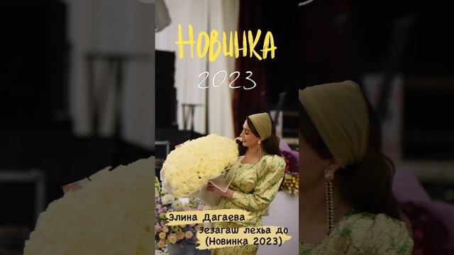 Элина Дагаева - ЗЕЗАГАШ ЛЕХЬА ДО (НОВИНКА 2023) смотреть онлайн