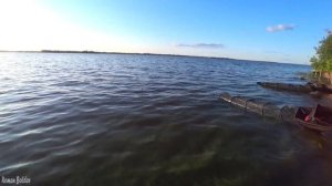 Рыбалка Летом " ЛОВЛЯ ЛЕЩА НА ФИДЕР ". Два дня рыбалки на Леща с ночёвкой, Волга, Природа, Река.