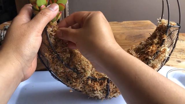 How to Make CHRISTMAS SUCCULENT WREATH (Step-by-step instruction) DIY смотреть онлайн
