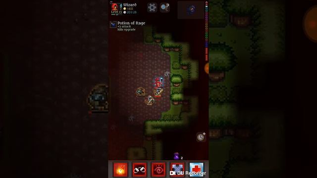 Cardinal Quest 2 gameplay смотреть онлайн