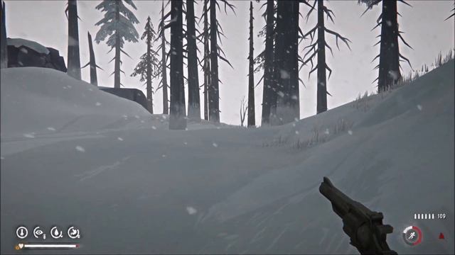 The Long Dark | Signal Void 07 | Explore Bleak Inlet смотреть онлайн