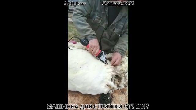 Машинка для стрижки овец GTS 2019 400 Ватт смотреть онлайн