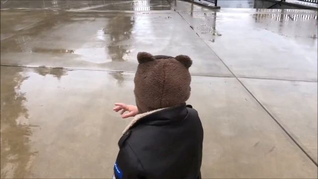 День Благодарения 2017 Thanksgiving Family Holiday American Church смотреть онлайн