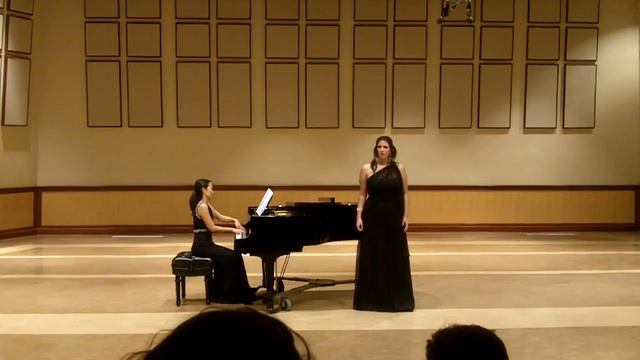 Brahms Set смотреть онлайн