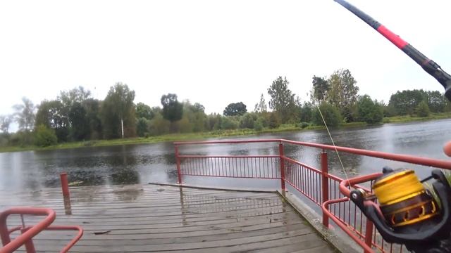 РЫБАЛКА НА ХИЩНИКА||ДОЖДЛИВАЯ ОСЕНЬ 2021 ||Паша Ковалевский Простая Рыбалка смотреть онлайн