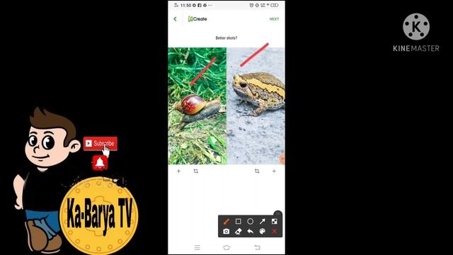 ₱300.00 ang kinita ko sa pag boto ng litrato | 2021 trending Application смотреть онлайн