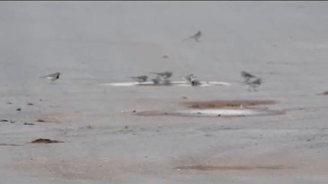 VLOG/Лагерь Тюменская область смотреть онлайн