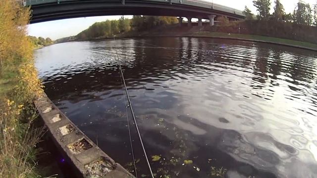 Zetrix Flair 862 ML | Тест на воде | Обзор спиннинга | смотреть онлайн