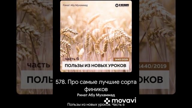 ПРО САМЫЕ ЛУЧШИЕ СОРТА ФИНИКОВ смотреть онлайн