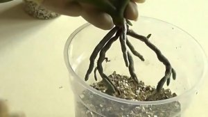 Вермикулит. Перлит. Керамзит – что это такое и как применять правильно?