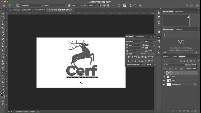 CREER UN LOGO RAPIDEMENT AVEC PHOTOSHOP - TUTO смотреть онлайн