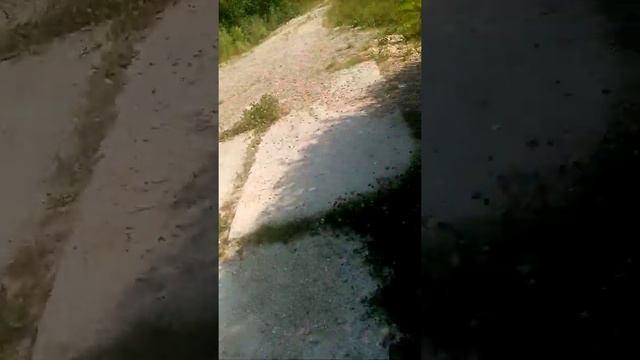 Нилушкин ключик смотреть онлайн