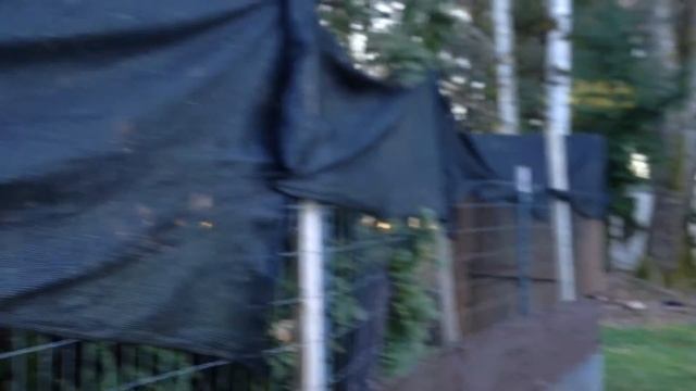 Жизнь на ранчо. США. Орегон. Январь смотреть онлайн