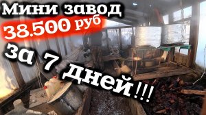 Заработок в Тайге 38.500руб за 7 дней! Промысел Сера Жевательная! Живица лиственницы!